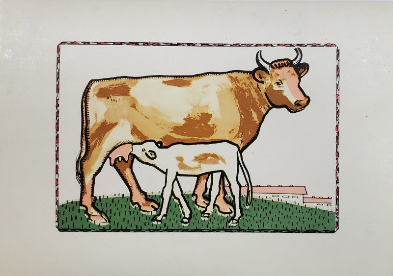 VACA CU VITEL  , PLANSA DIDACTICA , SERIA '' ANIMALELE DOMESTICE SI FOLOASELE LOR '' , ANII '80