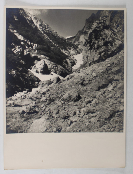 VALEA ALBA , MUNTII BUCEGI , FOTOGRAFIE , DATATA AUGUST , 1936