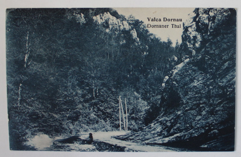 VALEA DORNAU / DORNANER THAL ,  PEISAJ , CARTE POSTALA ILUSTRATA , INTERBELICA