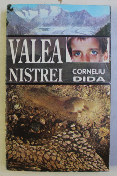 VALEA NISTREI de CORNELIU DIDA , 1994