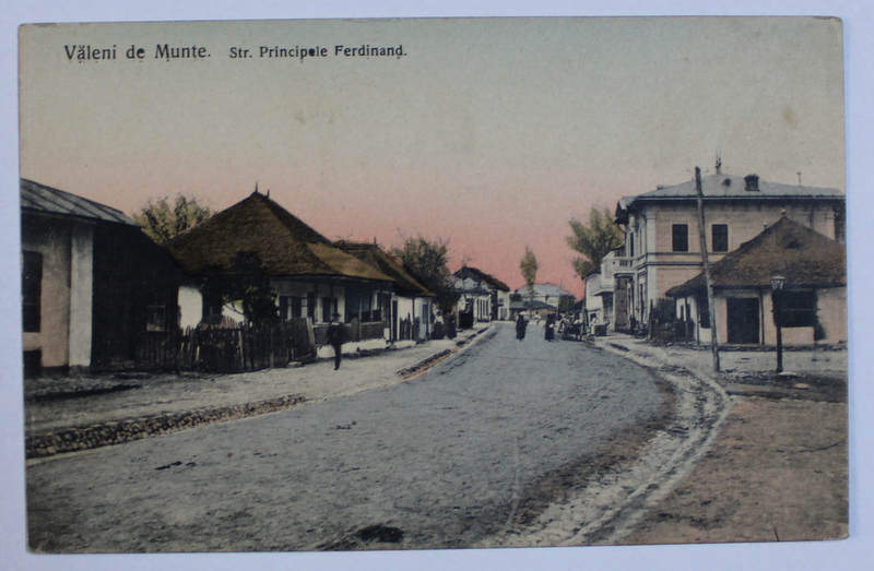 VALENI DE MUNTE , STRADA PRINCIPELE FERDINAND , CARTE POSTALA ILUSTRATA , POLICROMA, NECIRCULATA , PERIOADA INTERBELICA