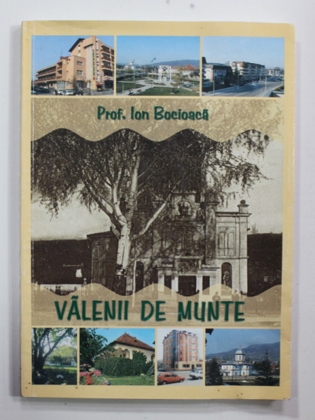 VALENII DE MUNTE de ION BOCIOACA , 2004