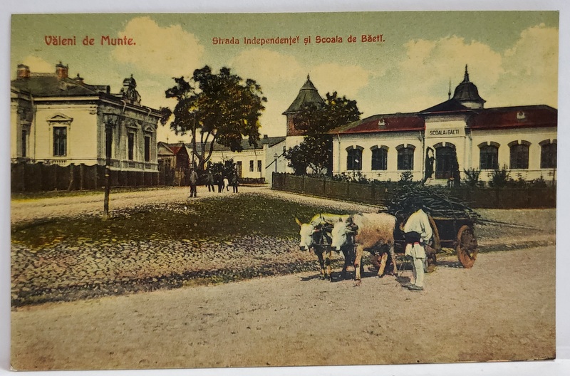 VALENII DE MUNTE , STRADA INDEPENDENTEI SI SCOALA DE BAIETI , CARTE POSTALA , CROMOLITOGRAFIE , INCEPUTUL SEC. XX
