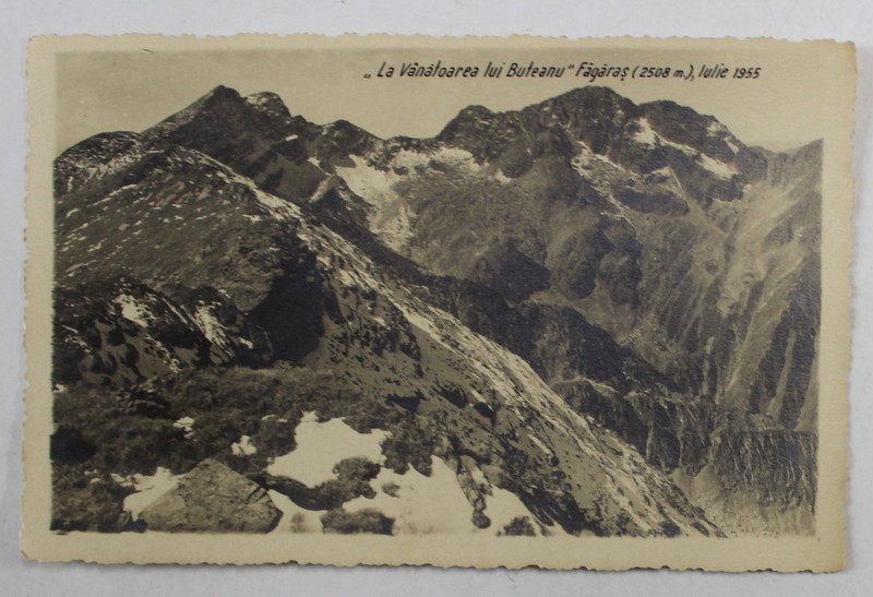 VARFUL ' VANATOAREA LUI BUTEANU ' , MUNTII FAGARAS , 2508 M. , CARTE POSTALA , IULIE 1955