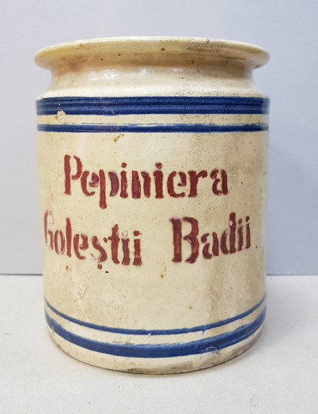 Vas Ceramic 'Pepiniera Golestii Badii'