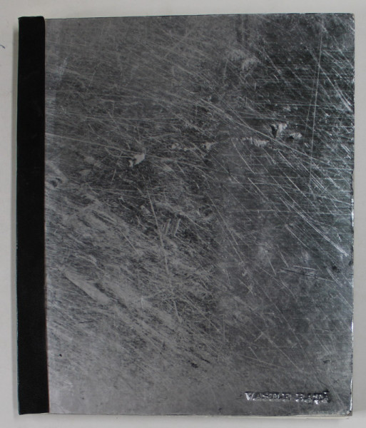 VASILE RATA , ALBUM DE ARTA , TEXT IN ROMANA SI ENGLEZA , ANII '2000 * COTOR INTARIT CU SCOTCH