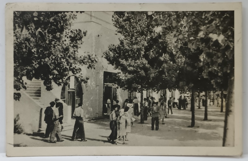 VASILE ROAITA , CLUBUL MUNCITORESC , CARTE POSTALA , 1956