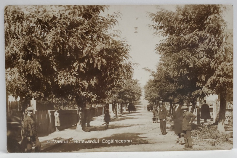 VASLUI , BULEVARDUL KOGALNICEANU , CARTE POSTALA , 1929