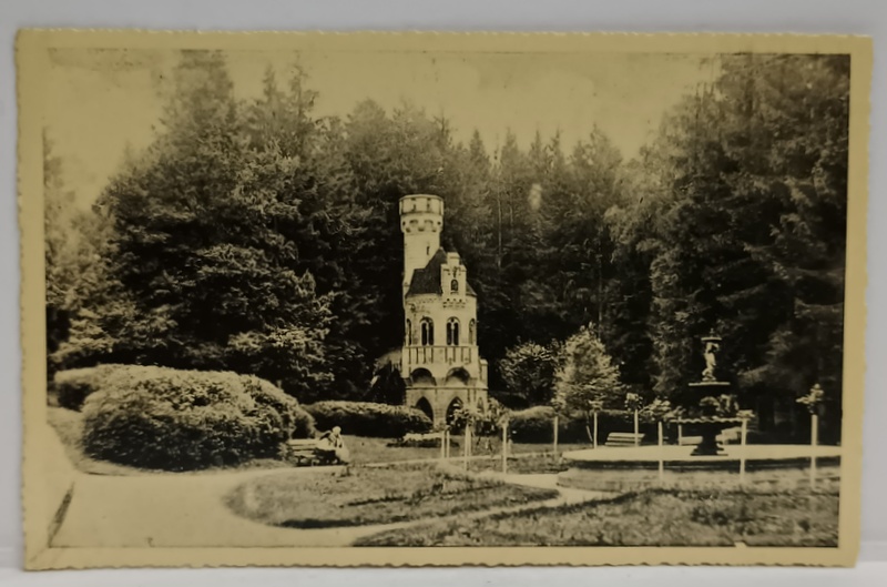 VATRA - DORNEI , IZVORUL ' SENTINELA ' , FOTO . ' ILUSTRATIA ' GHERLA , FORMAT CARTE POSTALA , 1939
