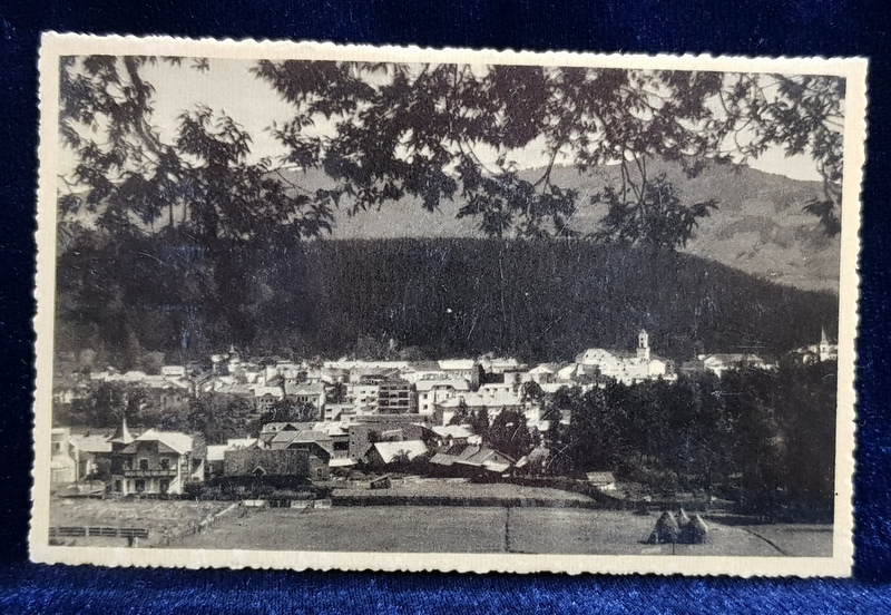 VATRA DORNEI   - VEDERE GENERALA , CARTE POSTALA ILUSTRATA , INTERBELICA
