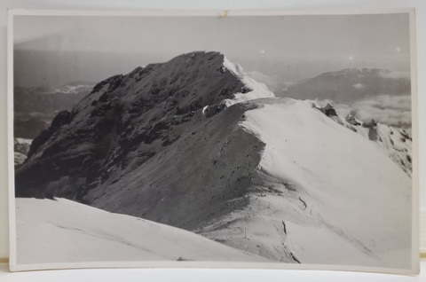 VEDERE DIN BUCEGI , VARFUL BUCSOIUL ( 2509 m. ) , VEDERE LUATA DE PE PLATOUL '' OMUL '' , FOTOGRAFIE TIP CARTE POSTALA , INTERBELICA