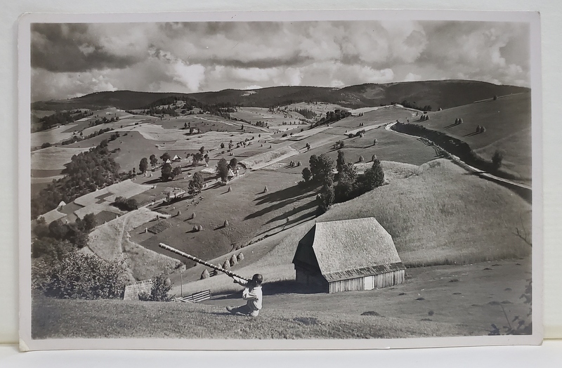 VEDERE DIN MUNTII APUSENI , FOTOGRAFIE TIP CARTE POSTALA , DUPA K. HILSCHER , INTERBELICA