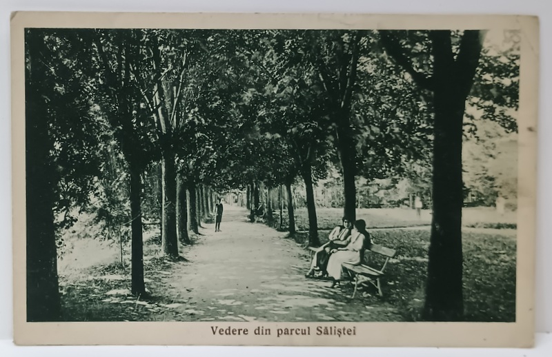 VEDERE DIN PARCUL SALISTEI , SIBIU , CARTE POSTALA ILUSTRATA , 1931