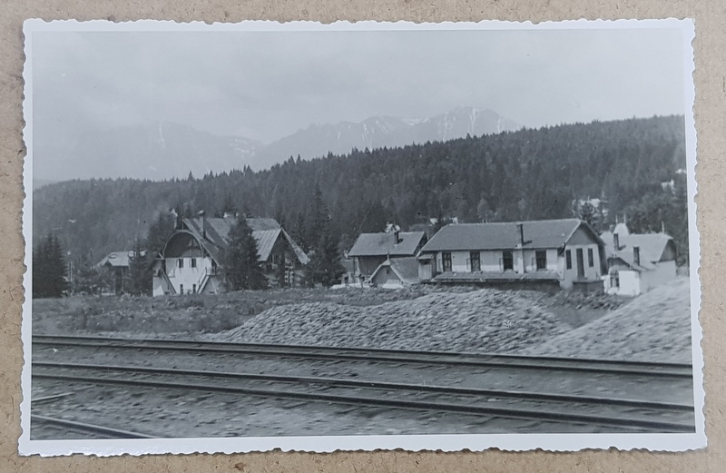 VEDERE SPRE BUCEGI DIN GARA PREDEAL , FOTOGRAFIE TIP CARTE POSTALA , STUDIO KLEIN BRAILA , MONOCROMA, NECIRCULATA , IULIE 1933