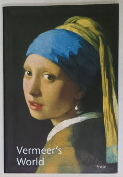 VERMEER 'S WORLD , AN ARTIST AND HIS TOWN by IRENE NETTA , 2004
