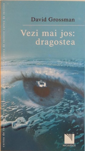 VEZI MAI JOS : DRAGOSTEA de DAVID GROSSMAN , 2007