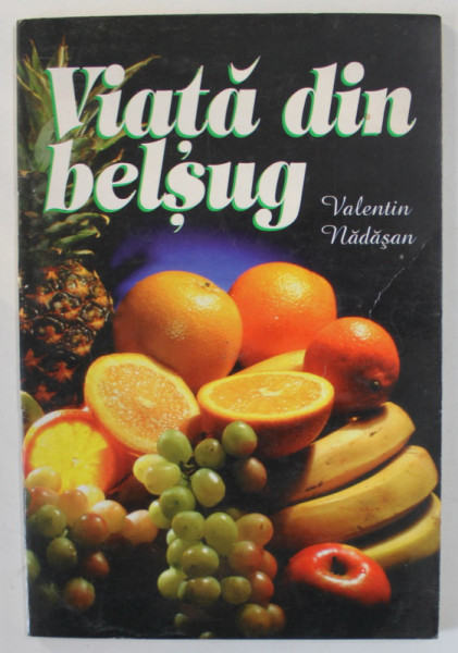 VIATA DIN BELSUG de VALENTIN NADASAN , 1996