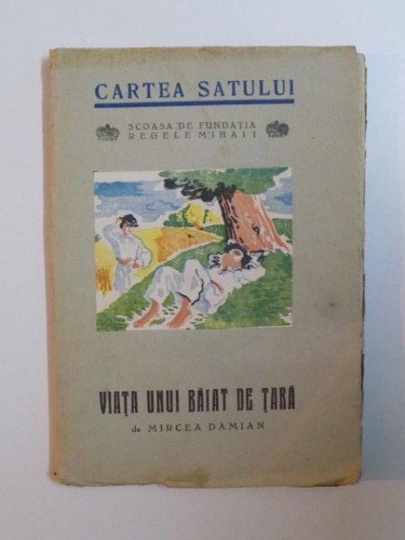 VIATA UNUI BAIAT DE TARA de MIRCEA DAMIAN