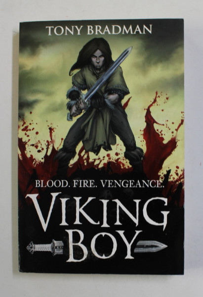 VIKING BOY by TONY BRADMAN , illustrated by PIERRE - DENIS GOUX , 2012