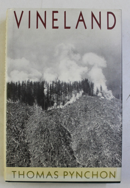 VINELAND by THOMAS PYNCHON , 1990