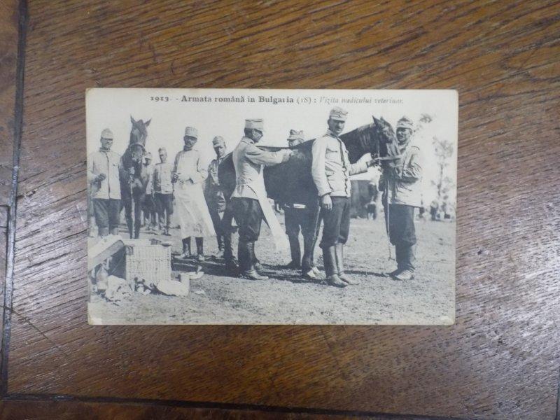 Vizita medicului veterinar, Armata Romana in Bulgaria 1913