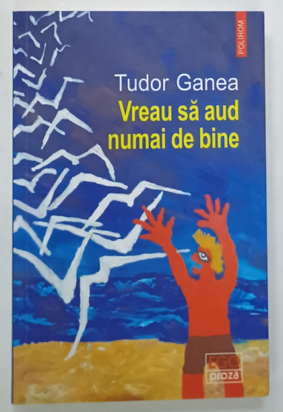 VREAU SA AUD NUMAI DE BINE de TUDOR GANEA , roman , 2024