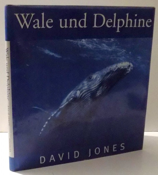 WALE UND DELPHINE von DAVID JONES , 1998