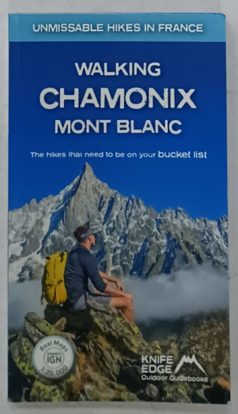 WALKING CHAMONIX MONT BLANC , by ANDREW McGLUGGAGE , 2020