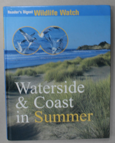 WATERSIDE AND COAST IN SUMMER , 2003
