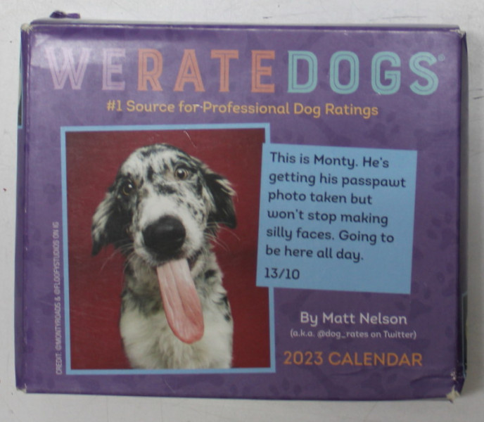 WE RATE DOGS , CALENDAR by MATT NELSON ,   2023