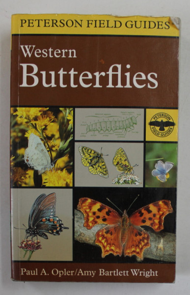 WESTERN BUTTERFLIES , PETERSON FIELD GUIDES by PAUL A. OPLER and AMY BARTLETT WRIGHT , 1998, PREZINTA PETE SI HALOURI DE APA *