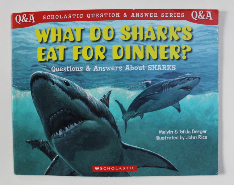 WHAT DO SHARKS EAT FOR DINNER ? - QUESTIONS and ANSWERS ABOUT SHARKS by MELVIN and GILDA BERGER , illustrated by JOHN RICE , 2001
