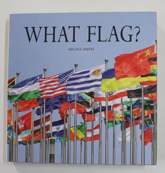 WHAT FLAG ? by NICOLE SMITH , 2015