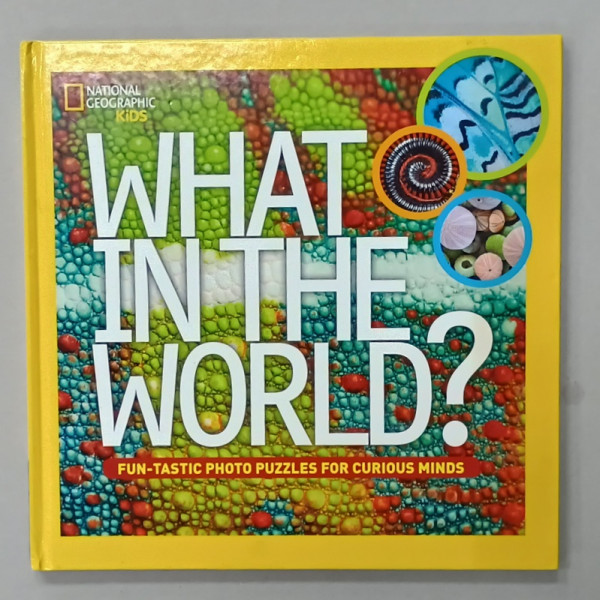 WHAT IN THE WORLD ? FUN - TASTIC PHOTO PUZZLES FOR CURIOUS MINDS by  JULIE VOSBURGH AGNONE , 2014