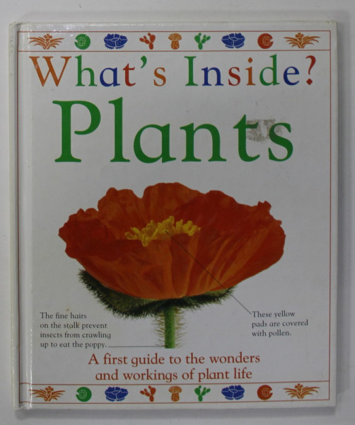 WHAT 'S INSIDE ?  PLANTS , 1992