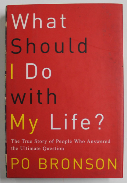 WHAT SHOULD I DO WITH MY LIFE ? by PO BRONSON , 2003