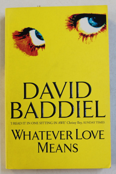 WHATEVER LOVE MEANSE by DAVID BADDIEL , 2000