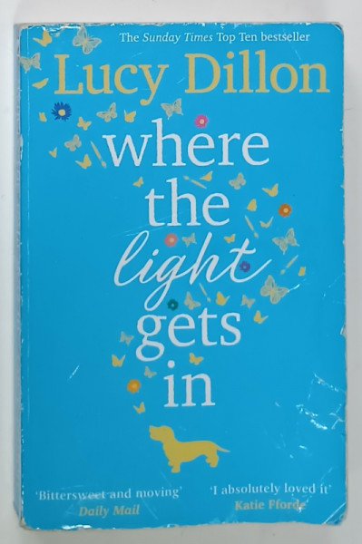 WHERE THE LIGHT GETS IN by LUCY DILLON , 2018 , PREZINTA HALOURI DE APA SI URME DE UZURA