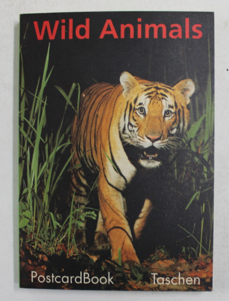 WILD ANIMALS , POSTCARDBOOK , CONTINE 30 DE CARTI POSTALE COLOR , CU ANIMALE , 1993
