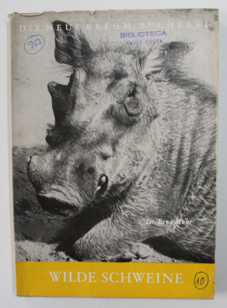 WILDESCHWEINE ( PORCI MISTRETI ) von ERNA MOHR , CARTE DIN BIBLIOTECA LUI VASILE COTTA , 1960