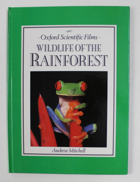 WILDLIFE OF THE RAINFOREST by  ANDREW MITCHELL , 1989