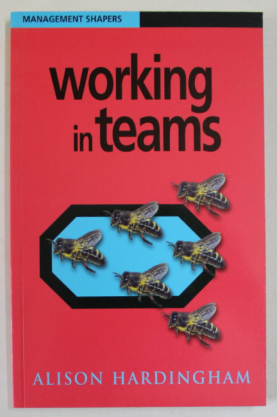 WORKING IN TEAMS by ALISON HARDINGHAM , 2004