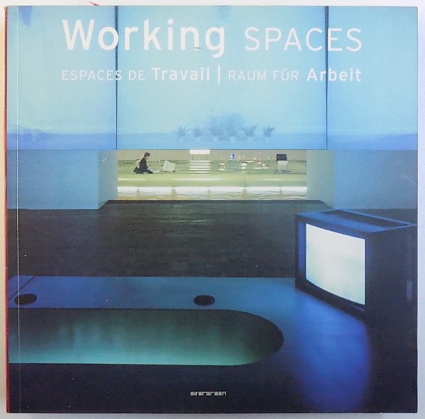 WORKING SPACES , editor SIMONE SCHLEIFER , EDITIE ENGLEZA  - FRANCEZA - GERMANA  2005