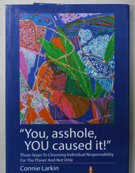 ' YOU , ASSHOLE , YOU CAUSED IT ! ' , THREE STEPS TO CHOOSING INDIVIDUAL RESPONSABILITY FOR THE PLANET AND NOT ONLY  by CONNIE LARKIN , 2016