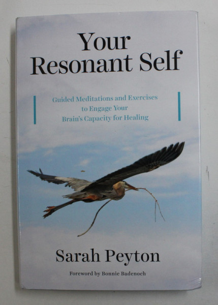 YOUR RESONANT SELF - GUIDED MEDITATIONS AND EXERCISES TO ENGAGE YOUR BRAIN  ' S CAPACITY FOR HEALING by SARAH PEYTON , 2017