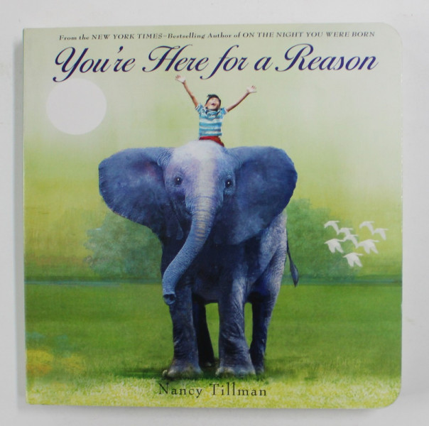 YOU'RE HERE FOR A REASON by NANCY TILLMAN , 2020