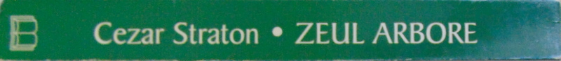 ZEUL ARBORE de CEZAR STRATON, 2004