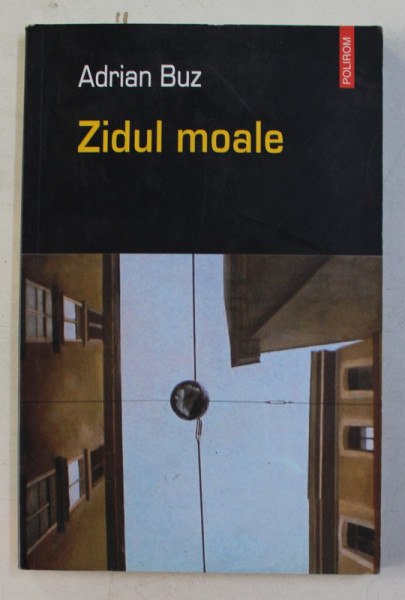 ZIDUL MOALE de ADRIAN BUZ , 2005