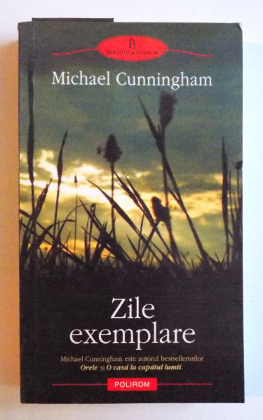 ZILE EXEMPLARE de MICHAEL CUNNINGHAM , 2006