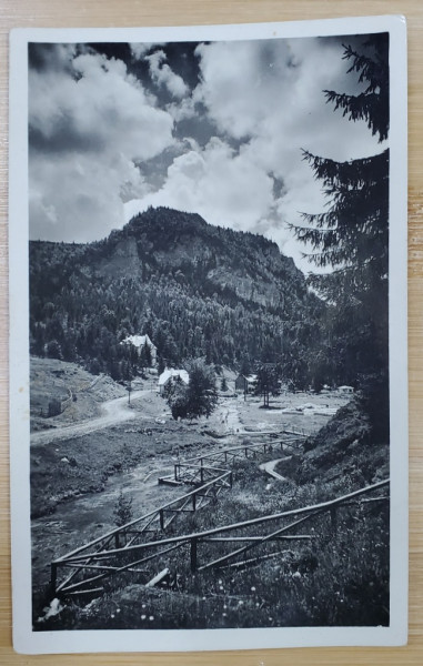 ZONA LACULUI ROSU , VEDERE SPRE MUNTE , CARTE POSTALA ILUSTRATA , INTERBELICA